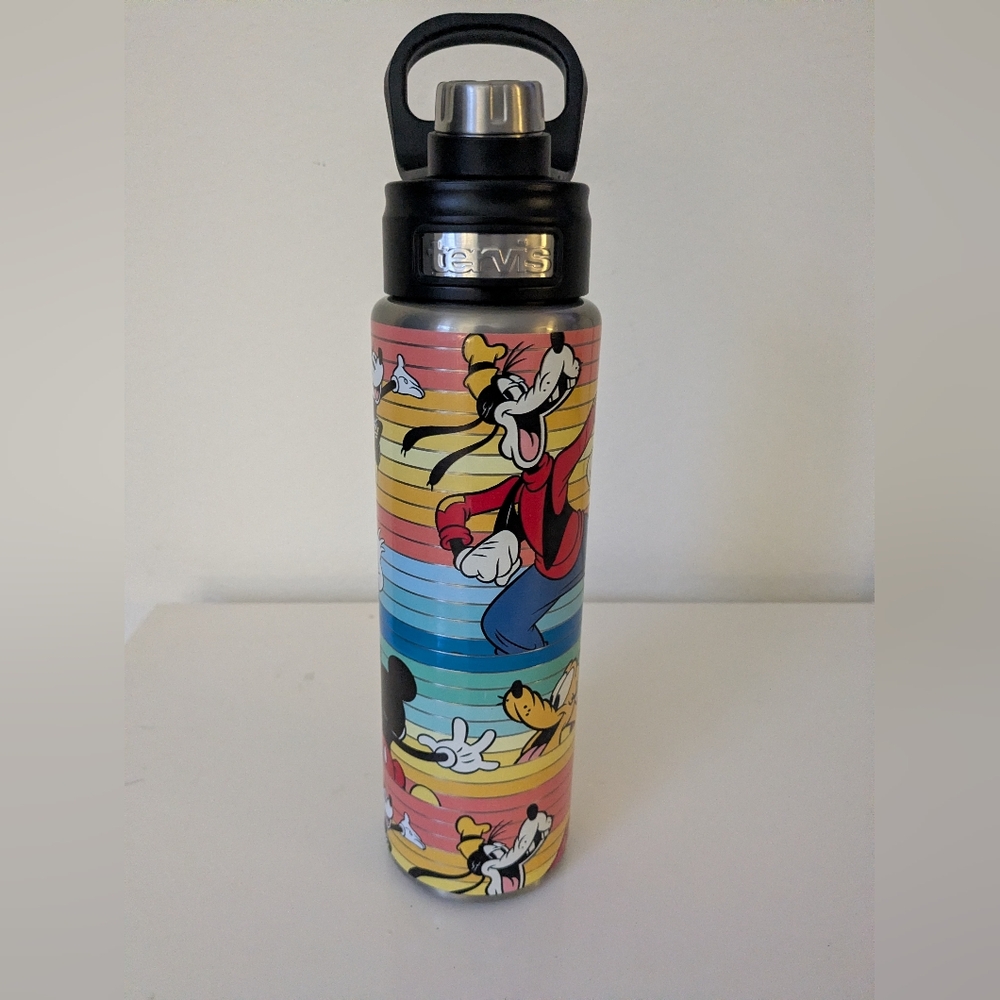 Tervis Disney Stainless Steel Water Bottle